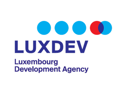 Логотип LuxDev